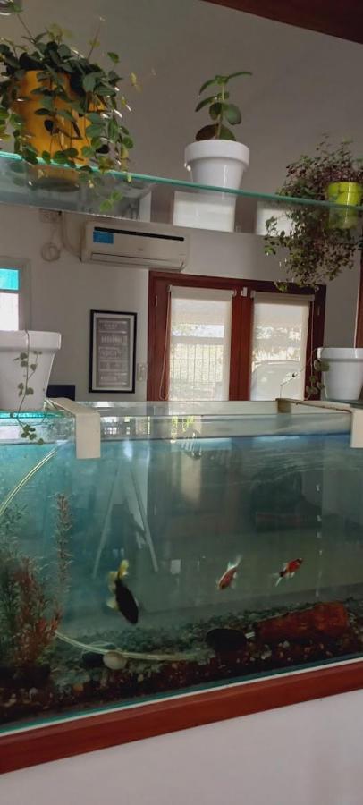 Aeropuerto A 5' Y Ruta Del Vino A 100 Mts Apartment Salta Ngoại thất bức ảnh